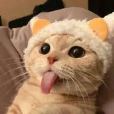 อนันต์ อัศวโภคิน avatar